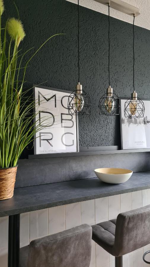 Ferienwohnung, Monteurwohnung, Unterkunft Elise Magdeburg Dış mekan fotoğraf