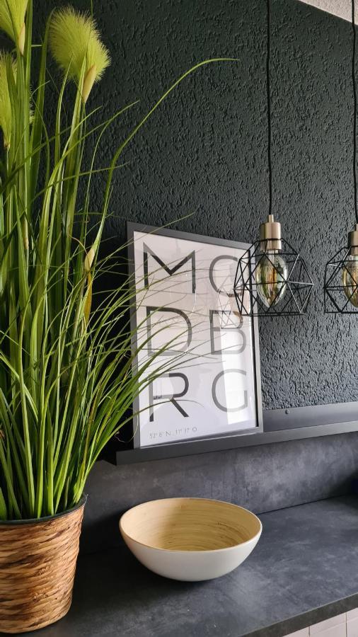 Ferienwohnung, Monteurwohnung, Unterkunft Elise Magdeburg Dış mekan fotoğraf